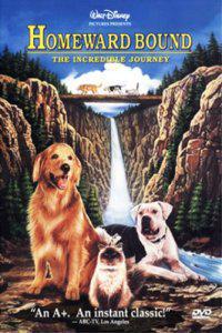 poster-200x300