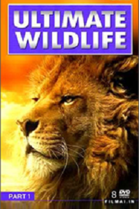 poster-200x300