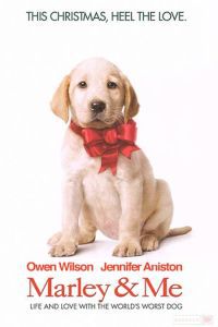 poster-200x300
