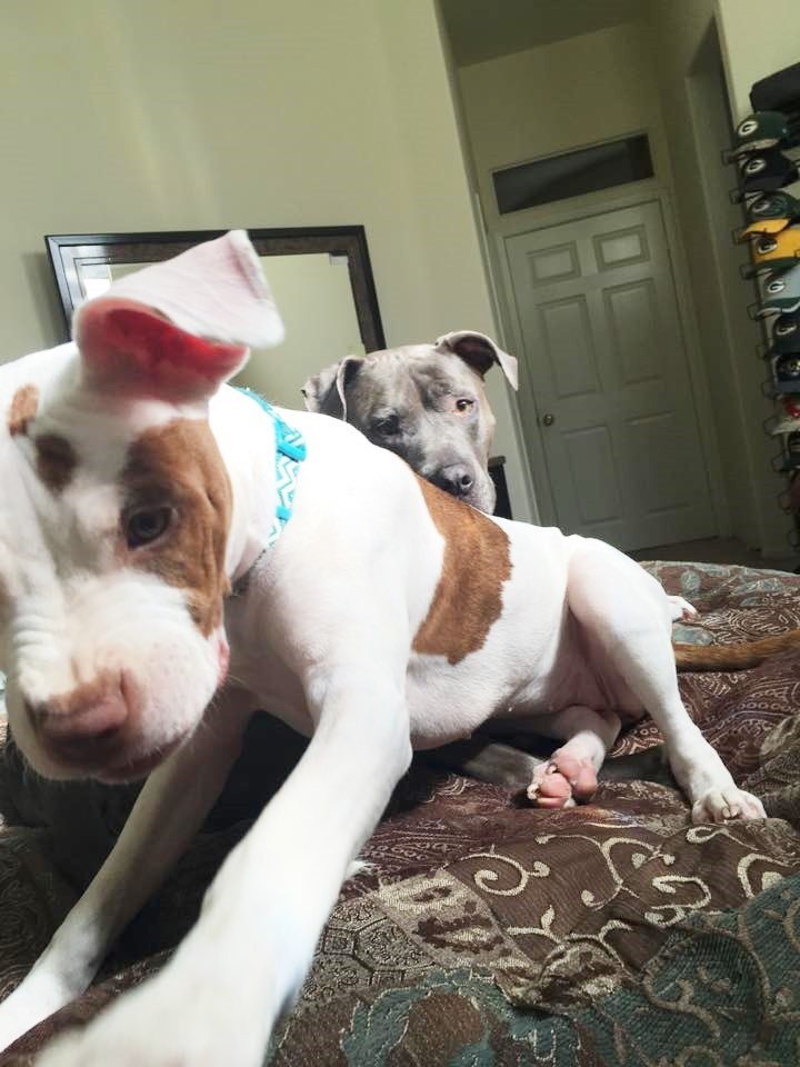 980x-1