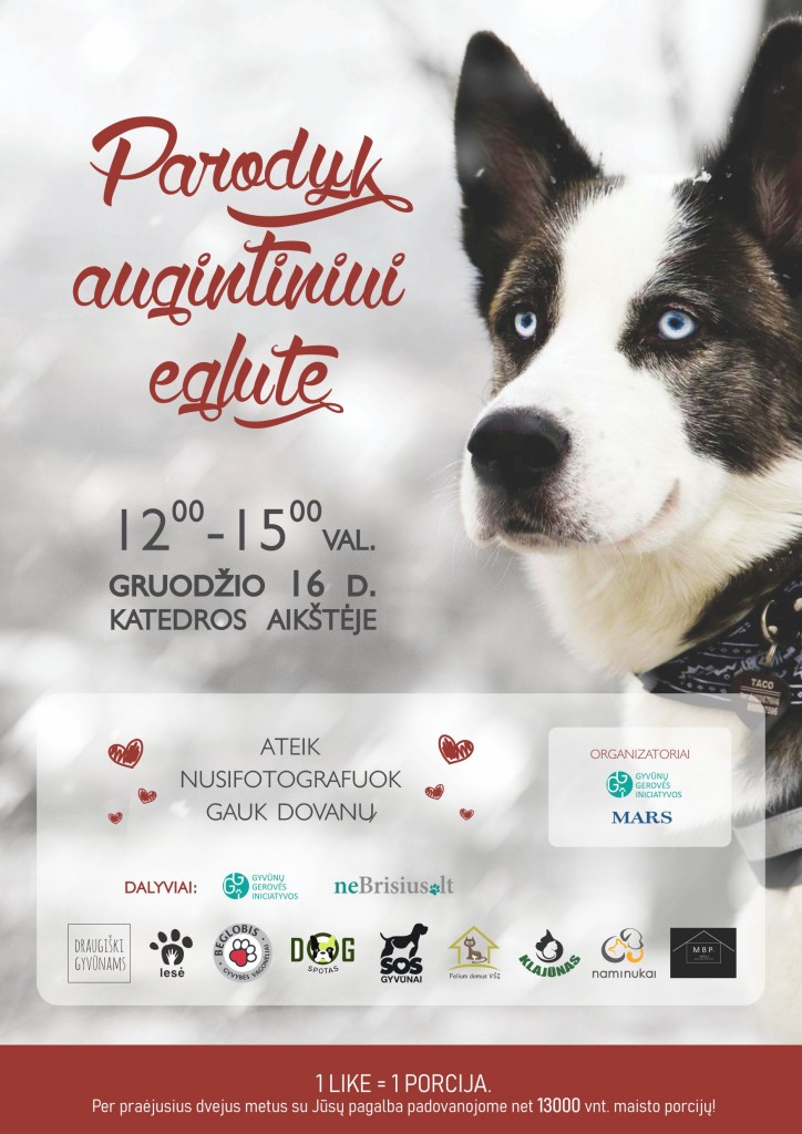 plakatas_fb