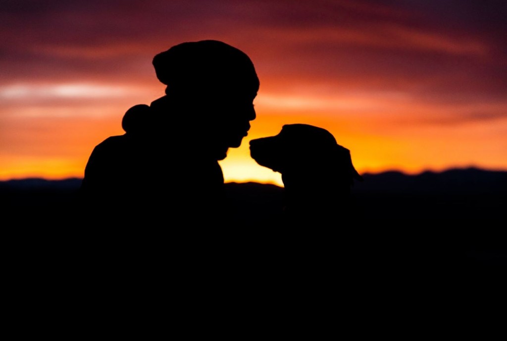 dog girl silhouette