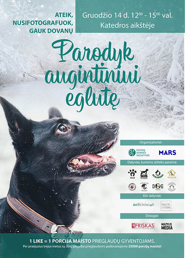 PAE plakatas 2019